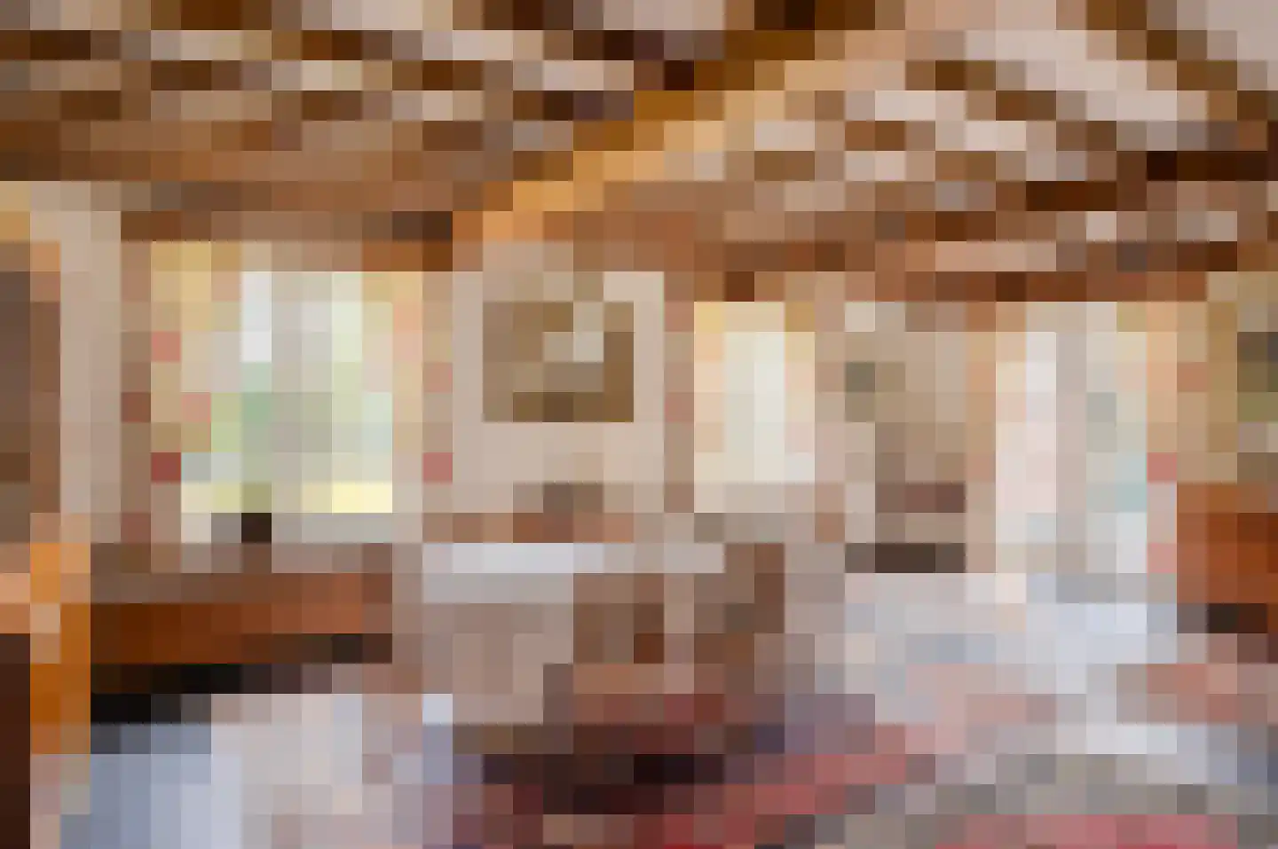Hollandsedreef 8 Wouwse Plantage thumbnail 30