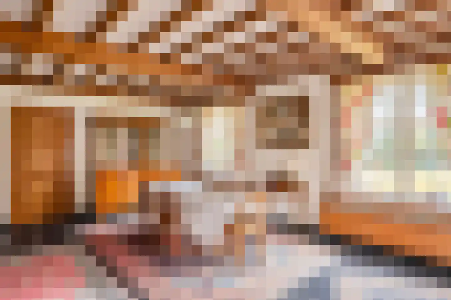 Hollandsedreef 8 Wouwse Plantage thumbnail 34