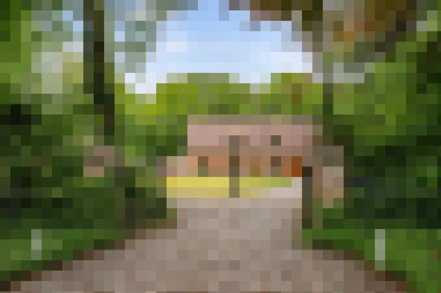 Hollandsedreef 8 Wouwse Plantage thumbnail 49