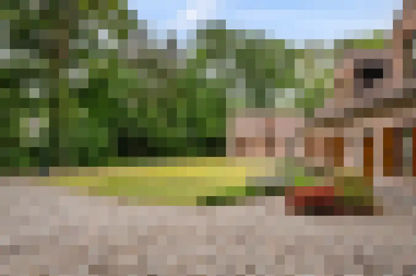 Hollandsedreef 8 Wouwse Plantage thumbnail 50