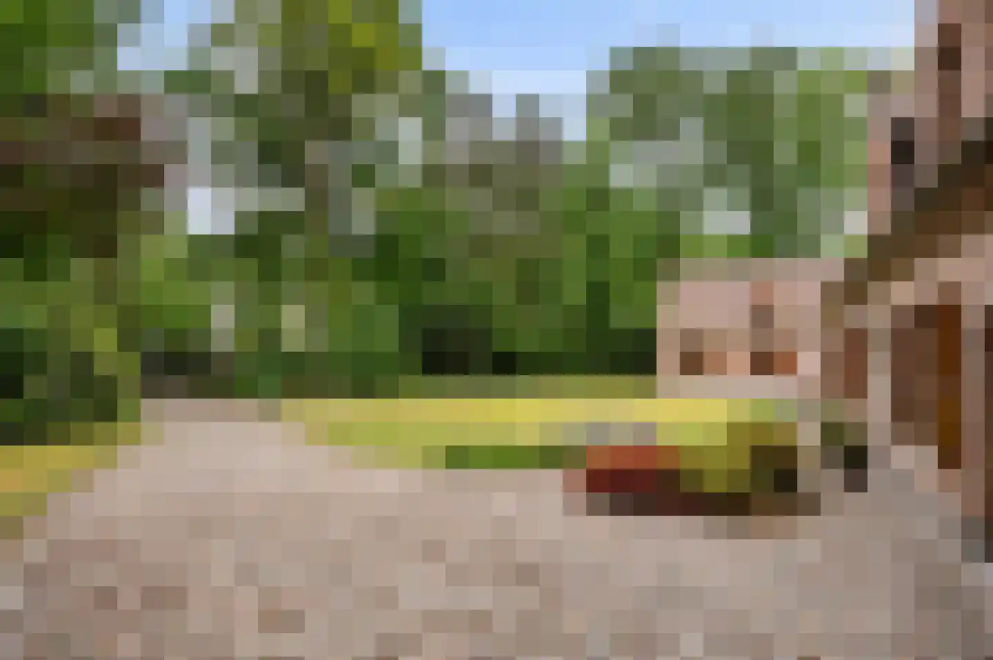 Hollandsedreef 8 Wouwse Plantage thumbnail 51