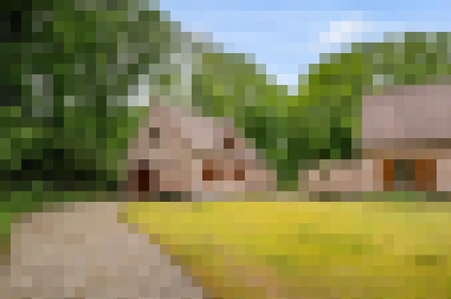 Hollandsedreef 8 Wouwse Plantage thumbnail 52