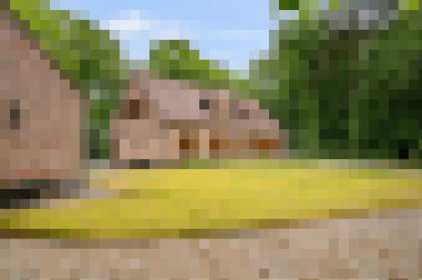 Hollandsedreef 8 Wouwse Plantage thumbnail 53