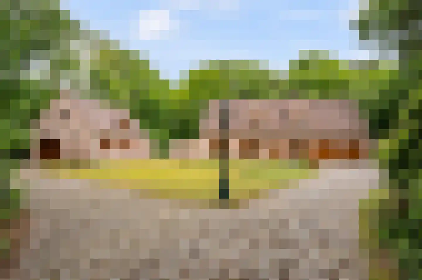 Hollandsedreef 8 Wouwse Plantage thumbnail 55
