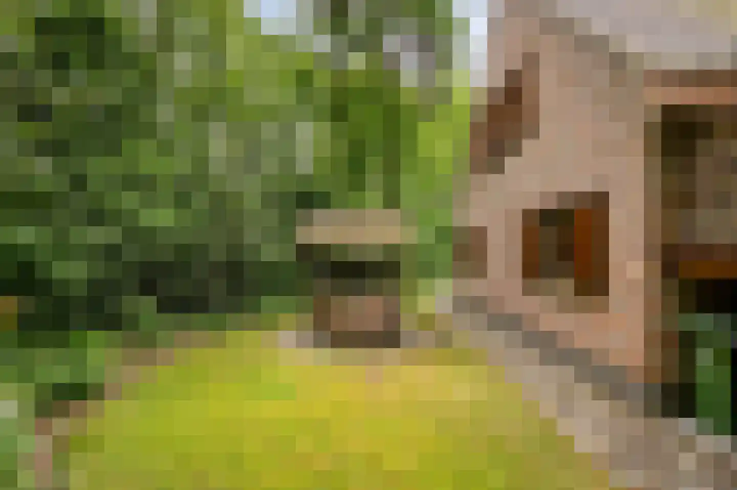 Hollandsedreef 8 Wouwse Plantage thumbnail 57