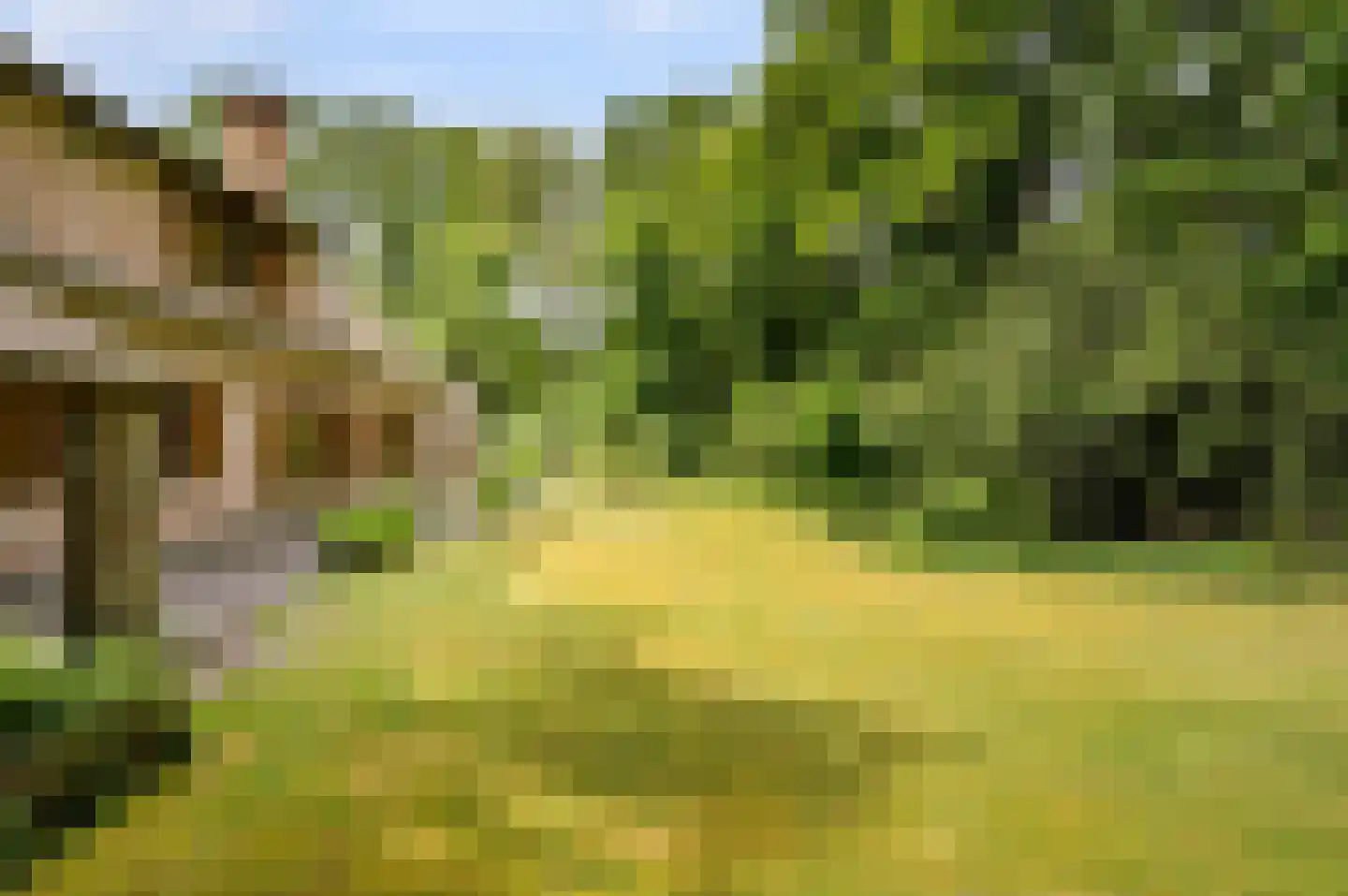Hollandsedreef 8 Wouwse Plantage thumbnail 58