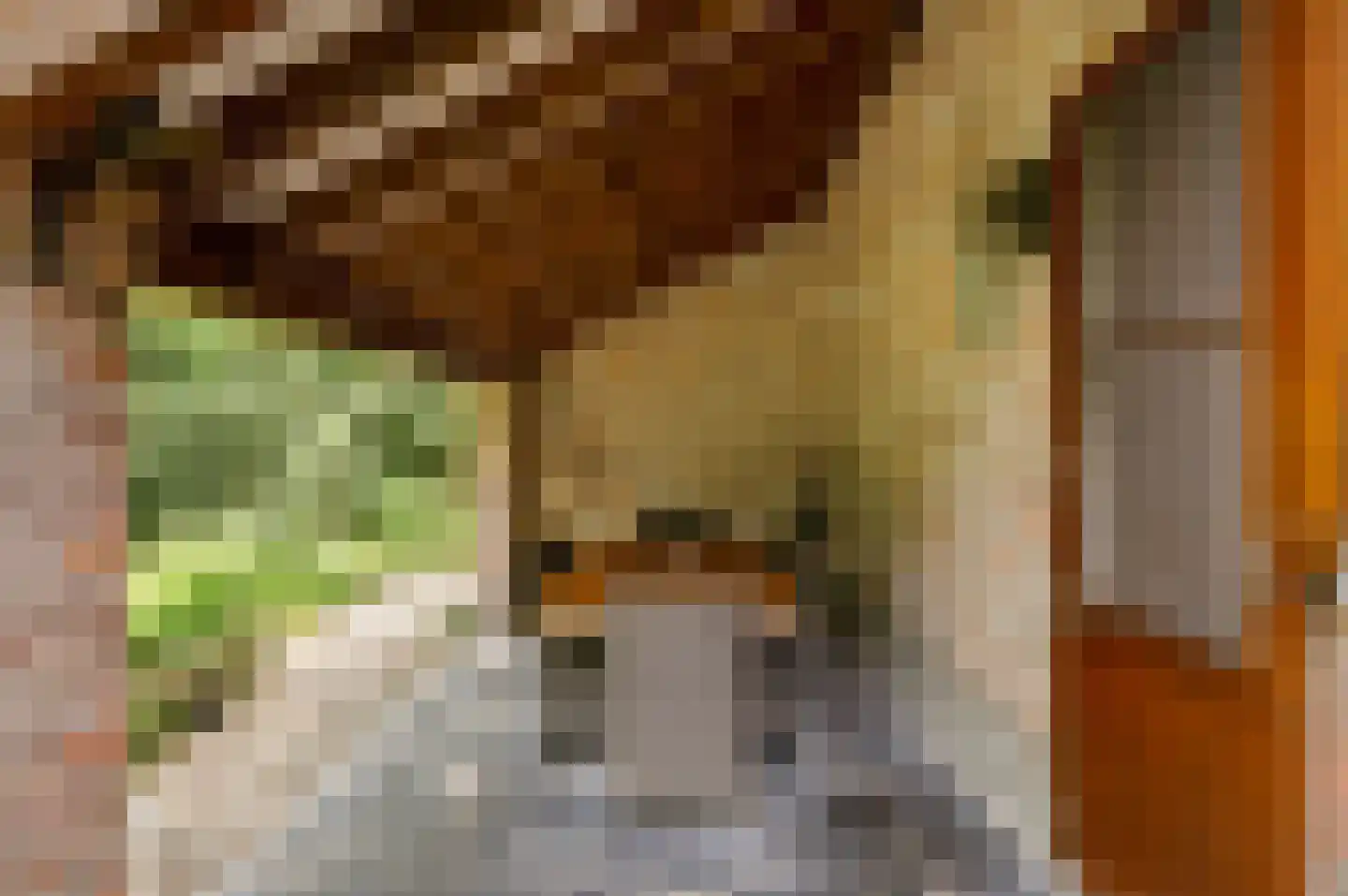 Hollandsedreef 8 Wouwse Plantage thumbnail 59