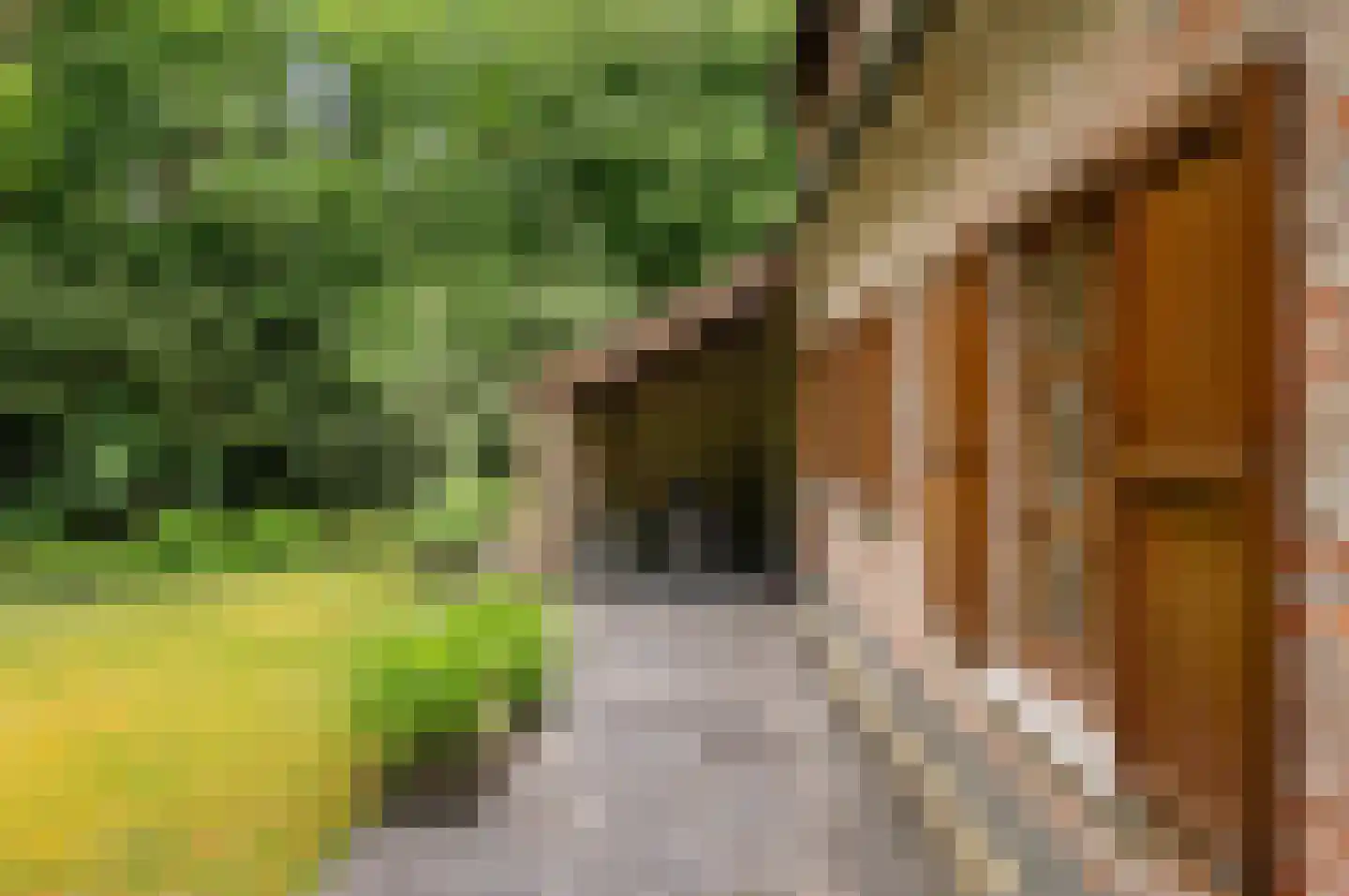 Hollandsedreef 8 Wouwse Plantage thumbnail 60
