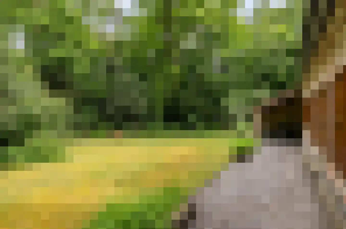 Hollandsedreef 8 Wouwse Plantage thumbnail 61