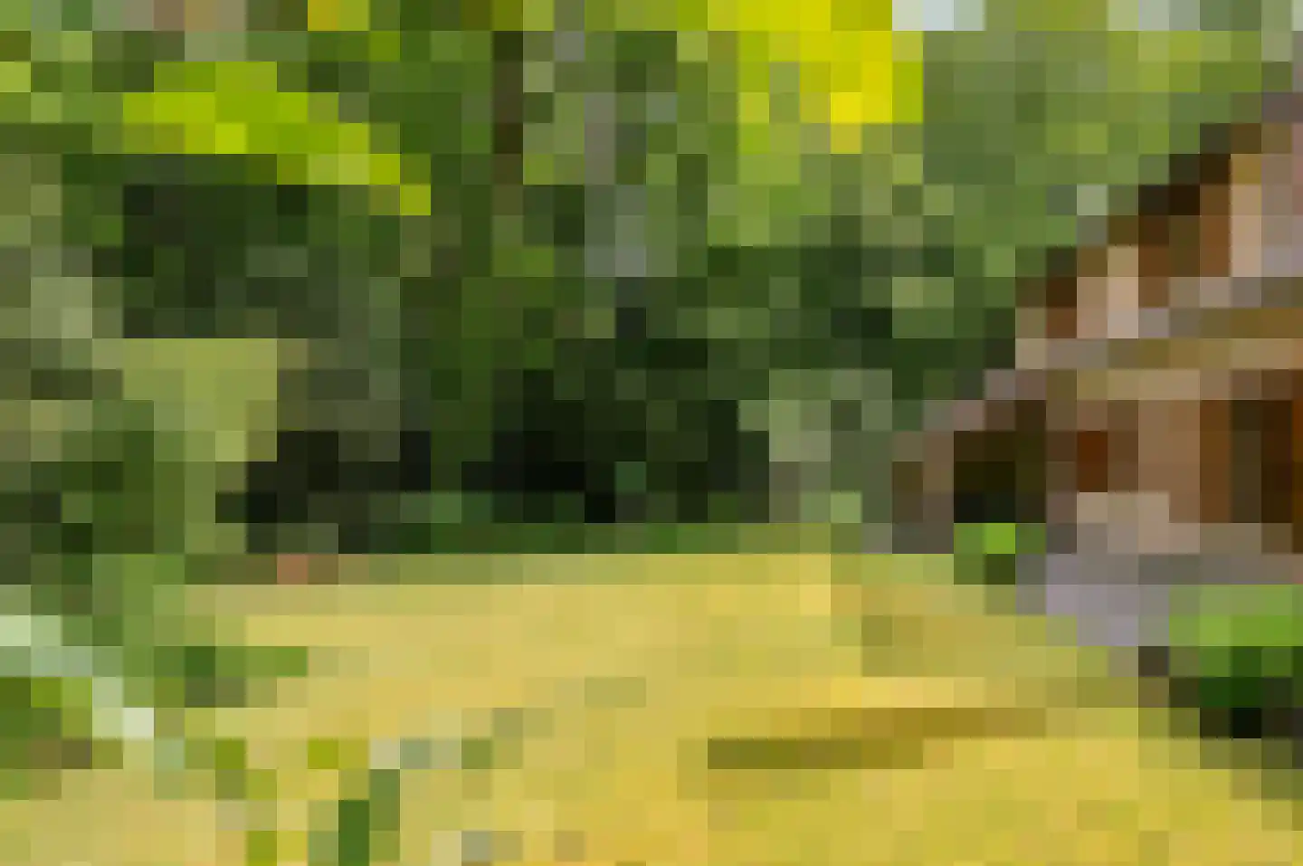 Hollandsedreef 8 Wouwse Plantage thumbnail 62