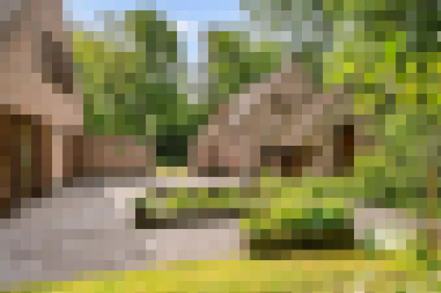 Hollandsedreef 8 Wouwse Plantage thumbnail 67