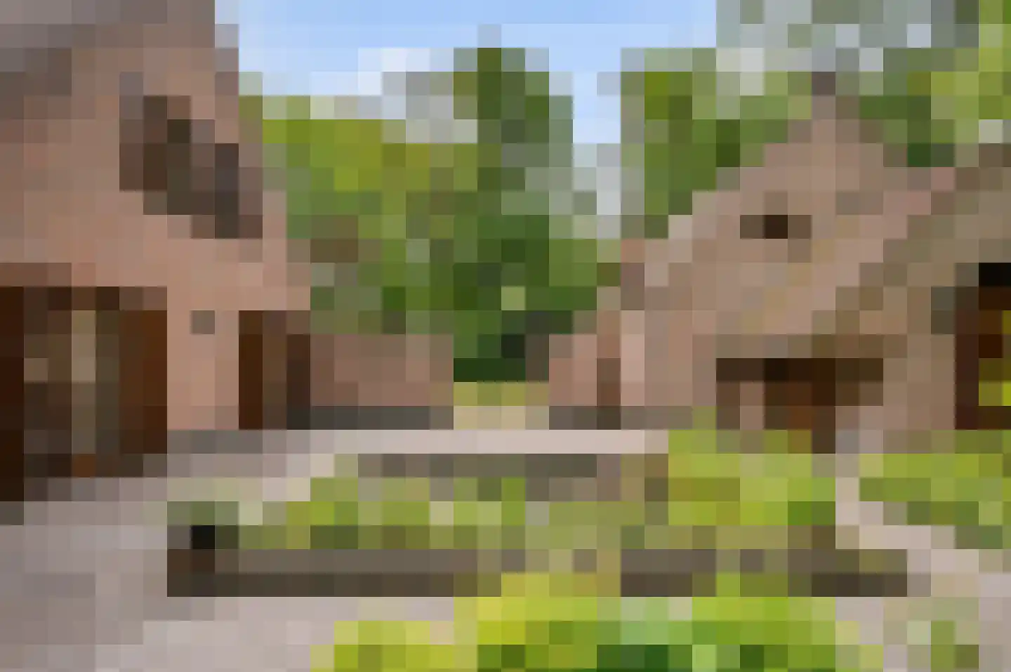Hollandsedreef 8 Wouwse Plantage thumbnail 68