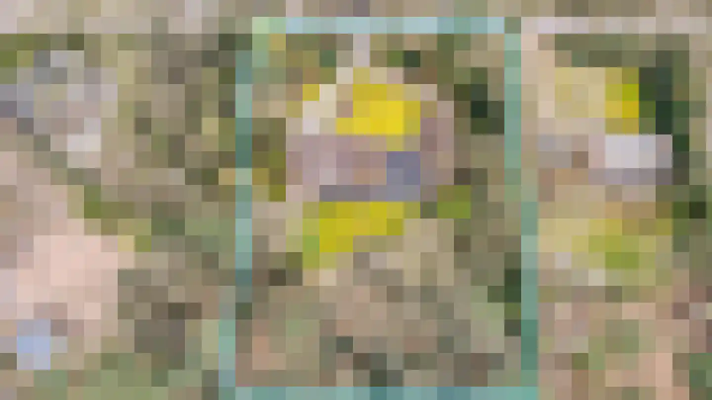 Hollandsedreef 8 Wouwse Plantage thumbnail 71