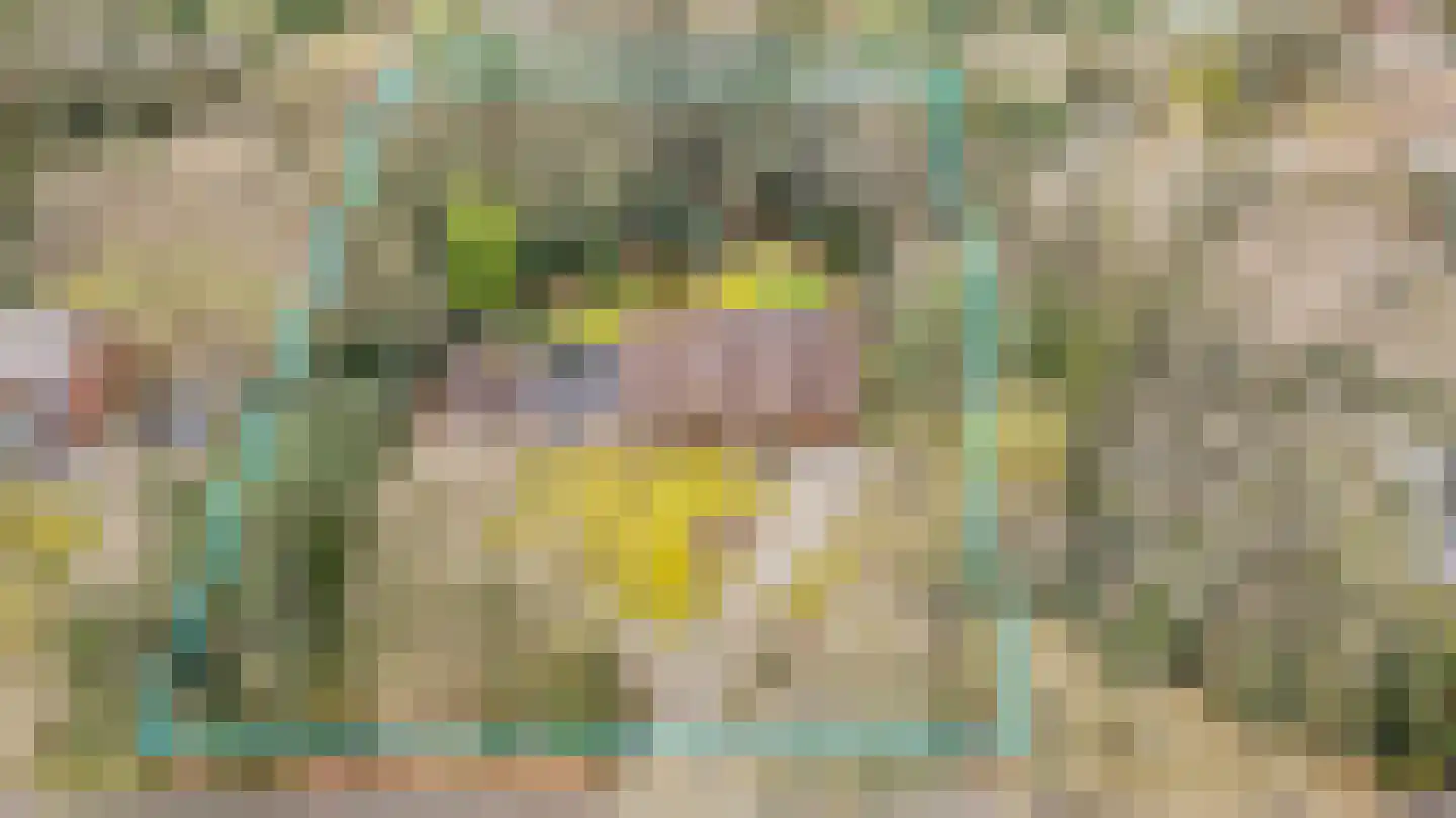 Hollandsedreef 8 Wouwse Plantage thumbnail 72
