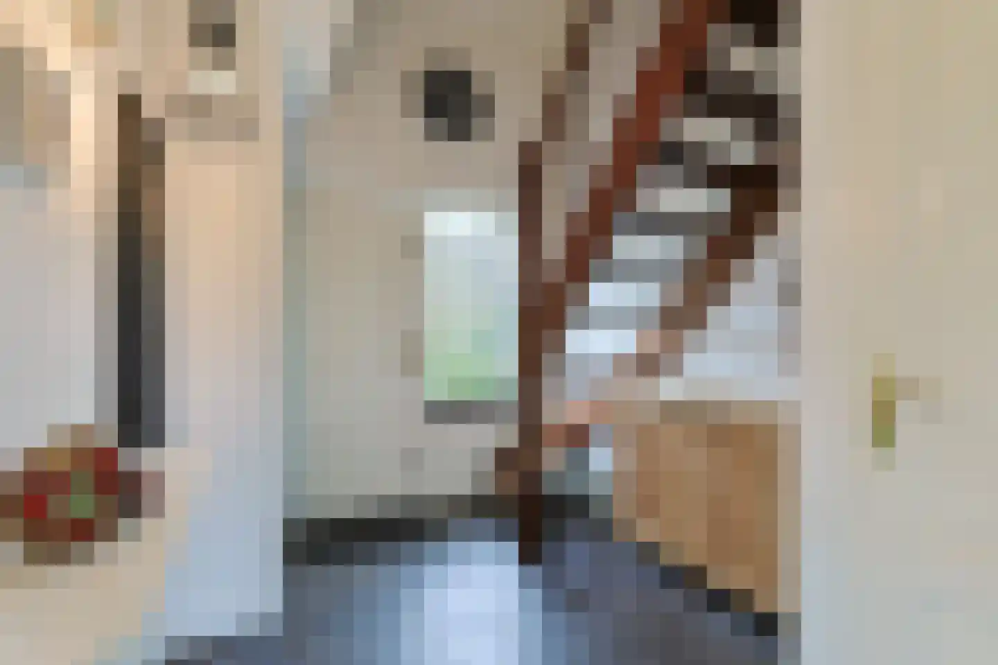 Hollandsekade 1 Woerdense Verlaat thumbnail 12