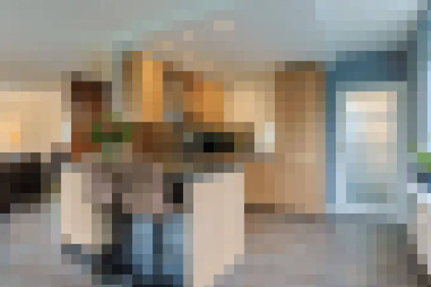 Hollandsekade 1 Woerdense Verlaat thumbnail 26