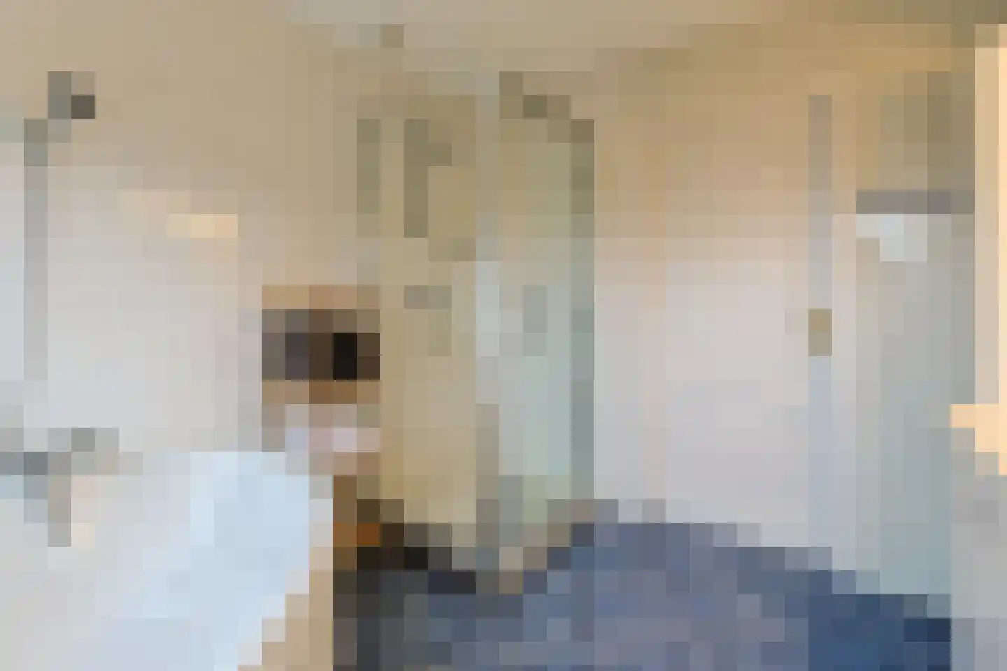 Hollandsekade 1 Woerdense Verlaat thumbnail 44