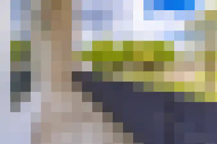 Hollandselaan 57 Stadskanaal thumbnail 11