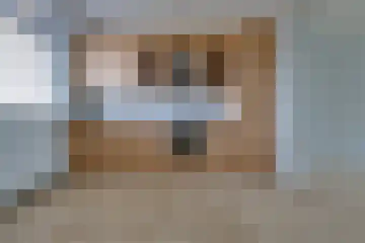 Hollandselaan 57 Stadskanaal thumbnail 16