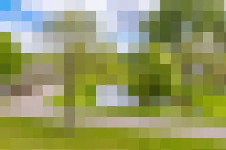 Hollandselaan 57 Stadskanaal thumbnail 31
