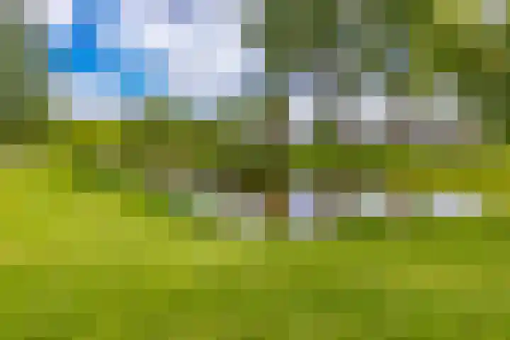 Hollandselaan 57 Stadskanaal thumbnail 36