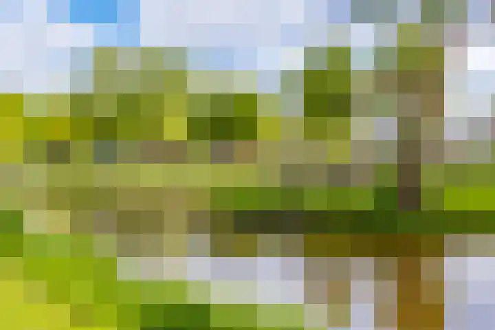 Hollandselaan 57 Stadskanaal thumbnail 37