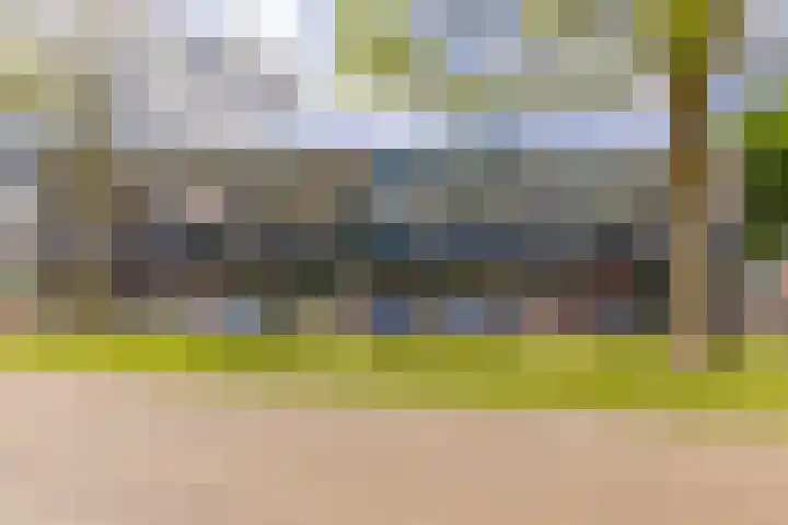 Hollandselaan 57 Stadskanaal thumbnail 38
