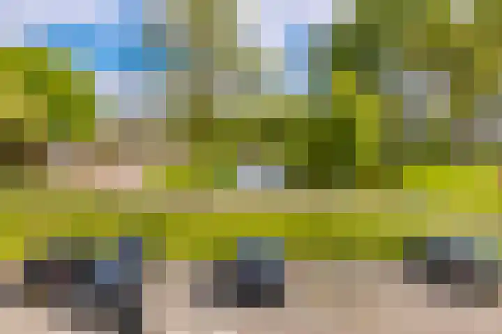 Hollandselaan 57 Stadskanaal thumbnail 5