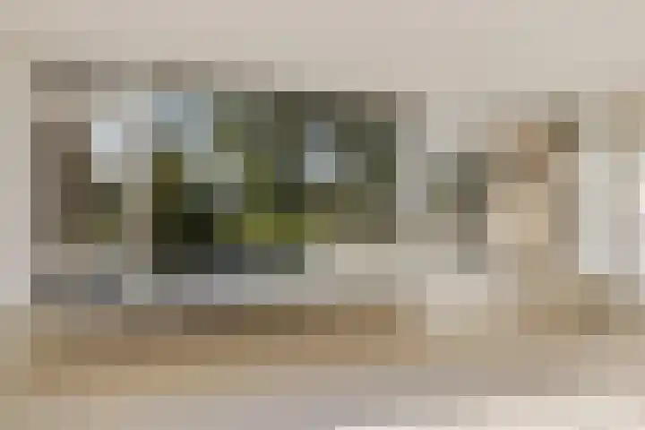 Hollandselaan 63 Stadskanaal thumbnail 16