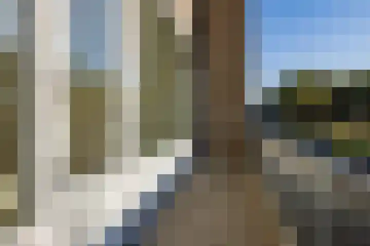 Hollandselaan 63 Stadskanaal thumbnail 17