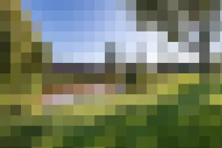 Hollandselaan 63 Stadskanaal thumbnail 34