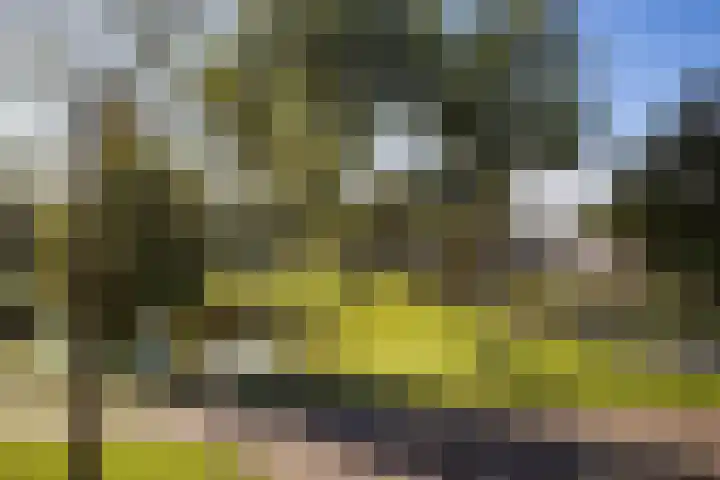 Hollandselaan 63 Stadskanaal thumbnail 35