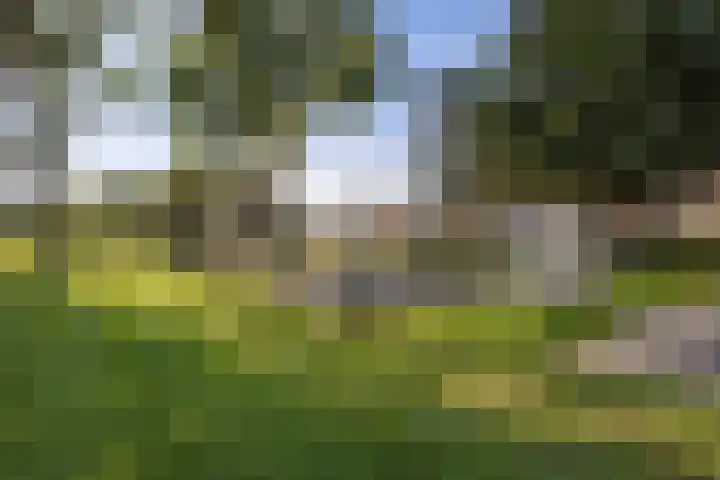 Hollandselaan 63 Stadskanaal thumbnail 36