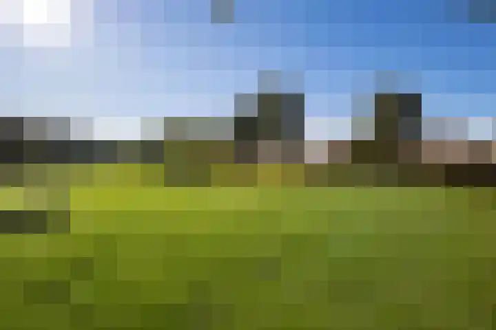 Hollandselaan 63 Stadskanaal thumbnail 37