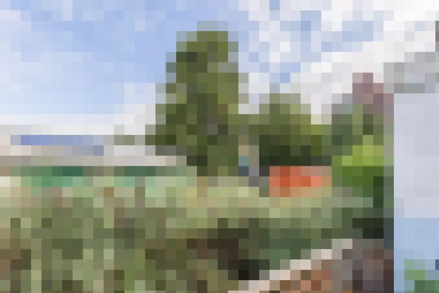 Hollandsepad 4 Zaandam thumbnail 16