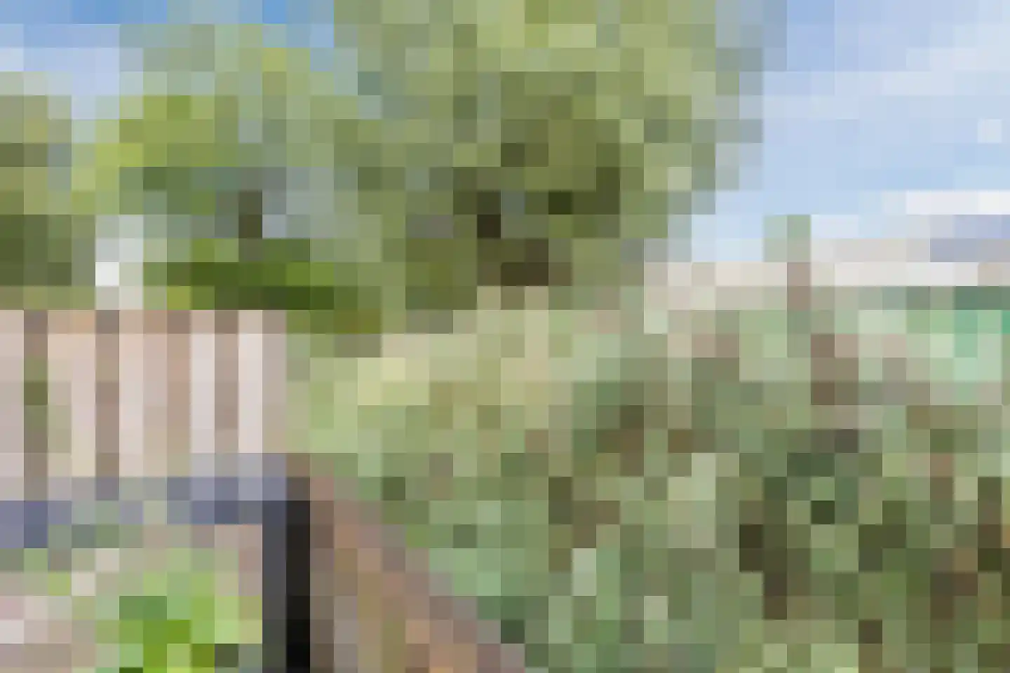 Hollandsepad 4 Zaandam thumbnail 17