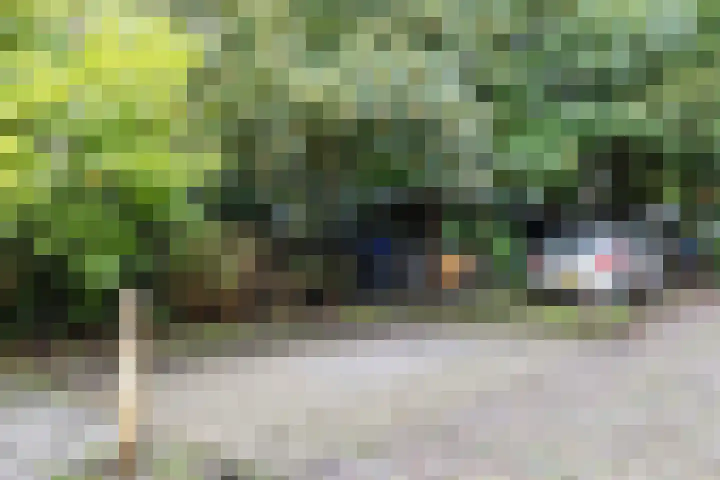 Hollandsepad 4 Zaandam thumbnail 37