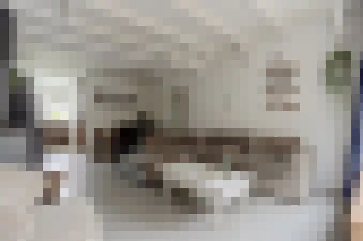 Hollandsestraat 44 Ridderkerk thumbnail 11