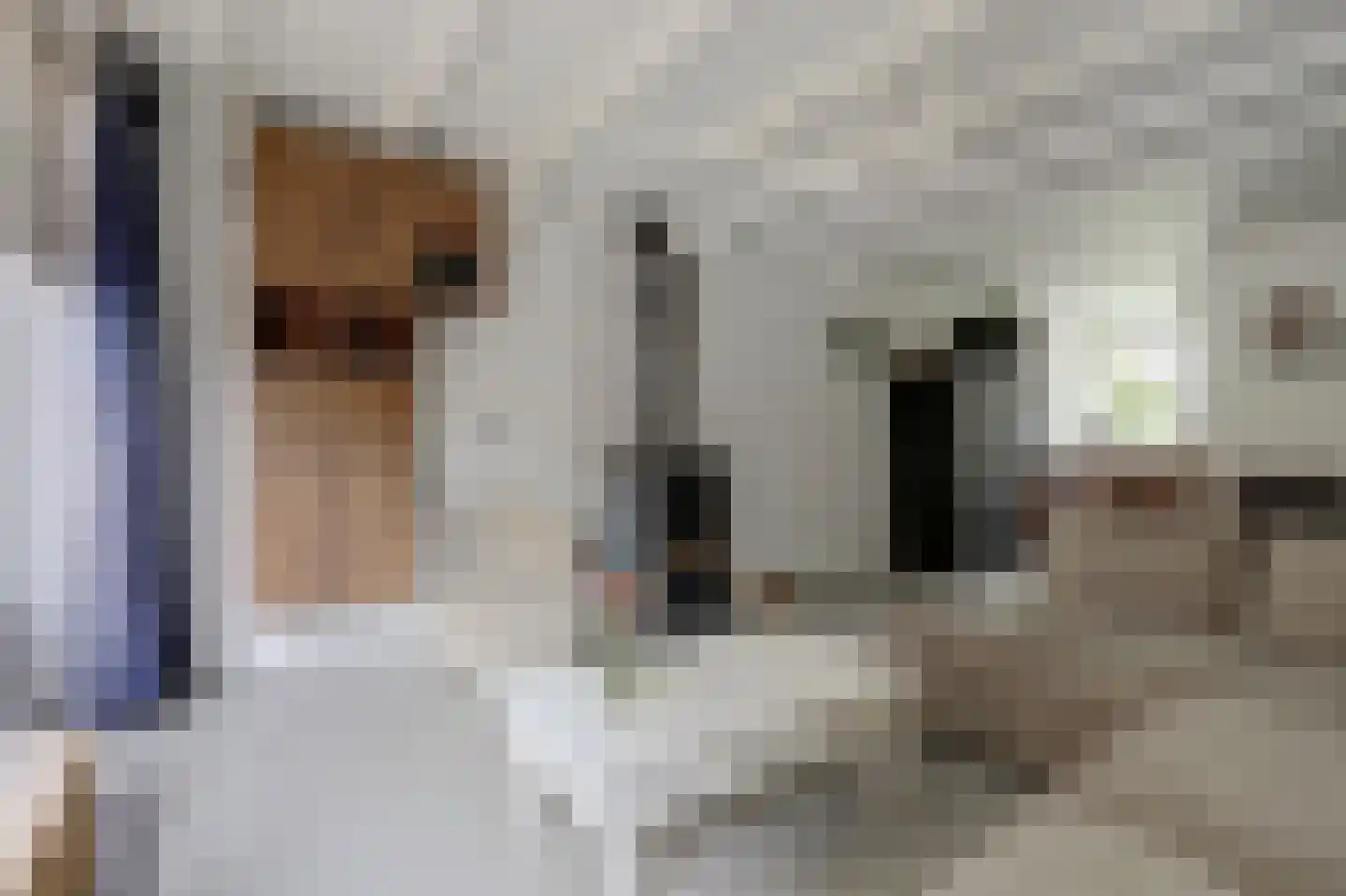 Hollandsestraat 44 Ridderkerk thumbnail 12