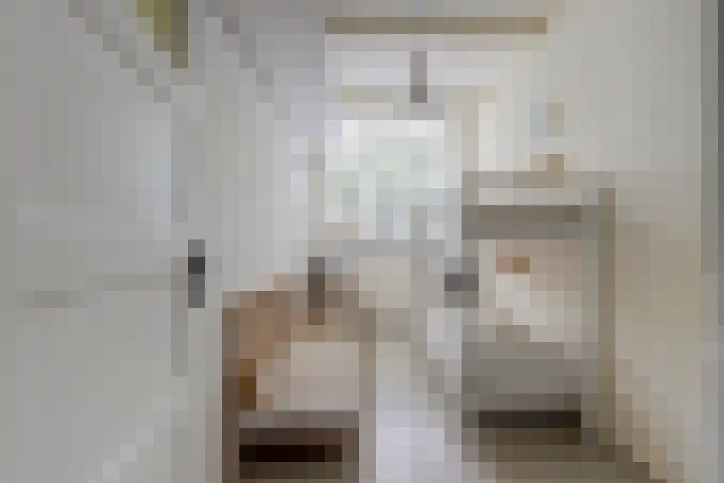 Hollandsestraat 44 Ridderkerk thumbnail 22