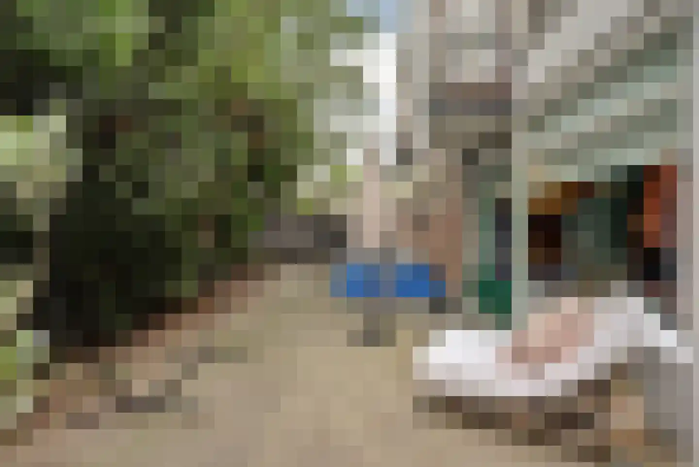 Hollandsestraat 44 Ridderkerk thumbnail 27
