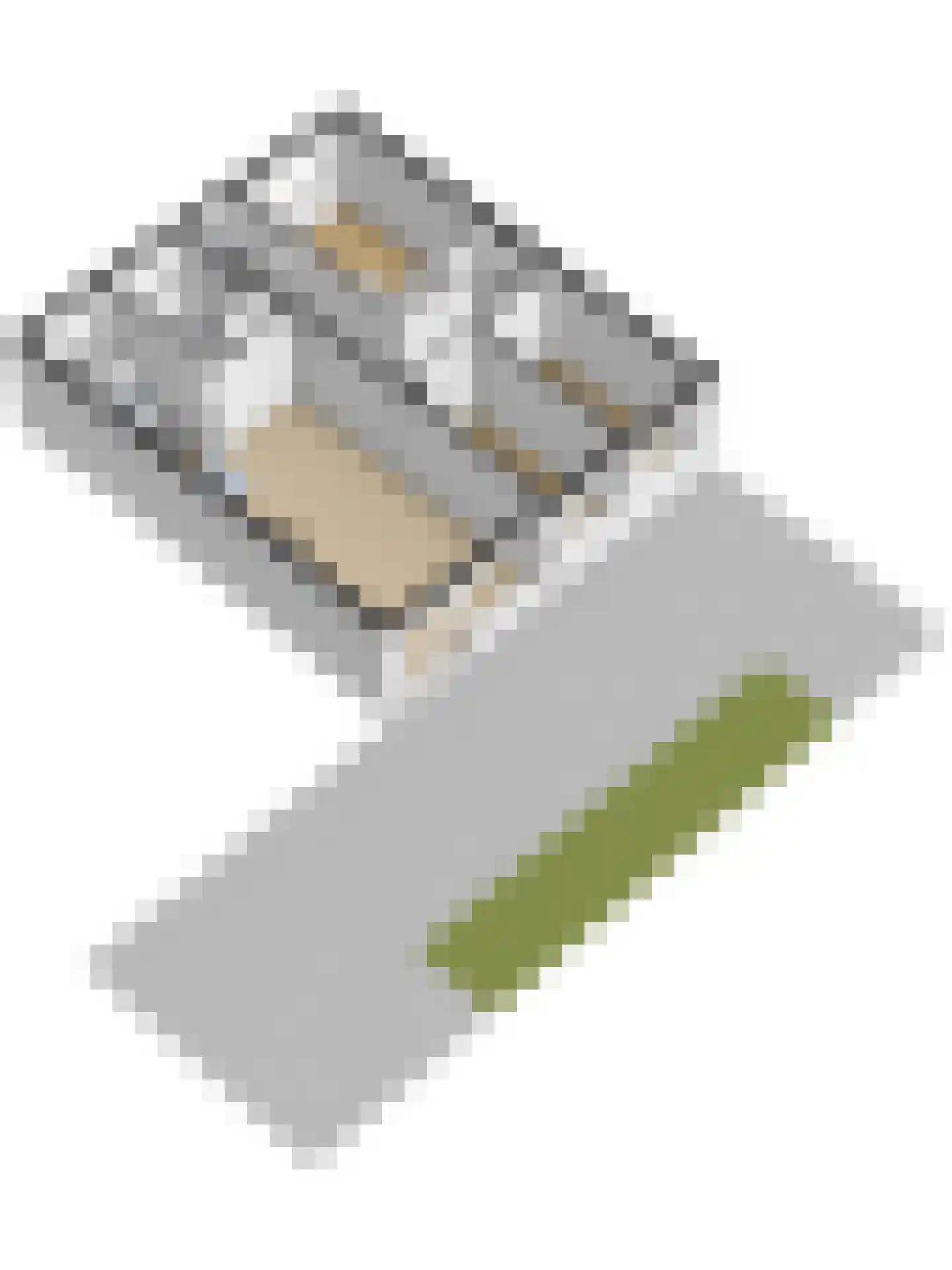 Hollandsestraat 44 Ridderkerk thumbnail 37