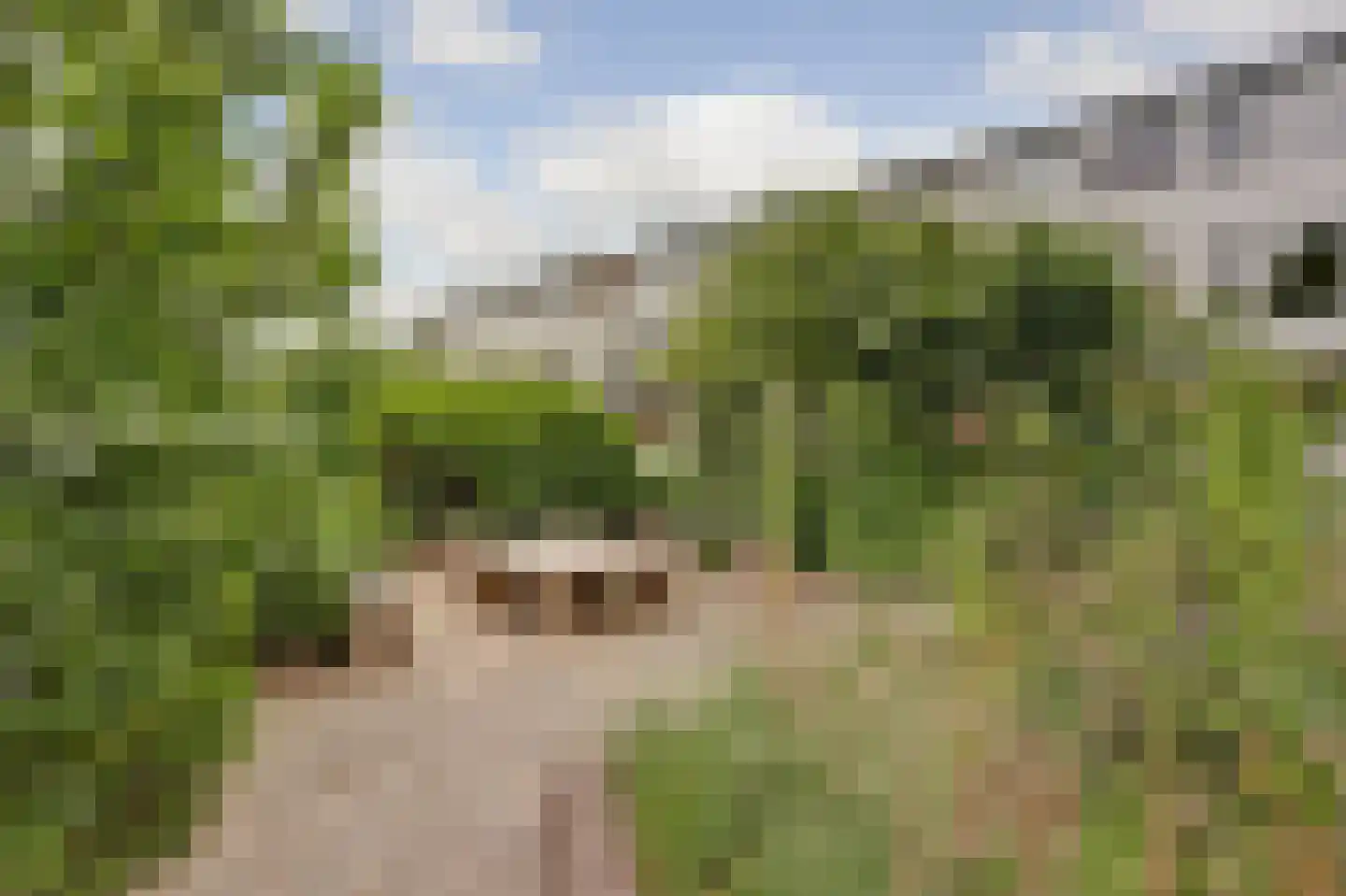 Hollandsestraat 44 Ridderkerk thumbnail 4