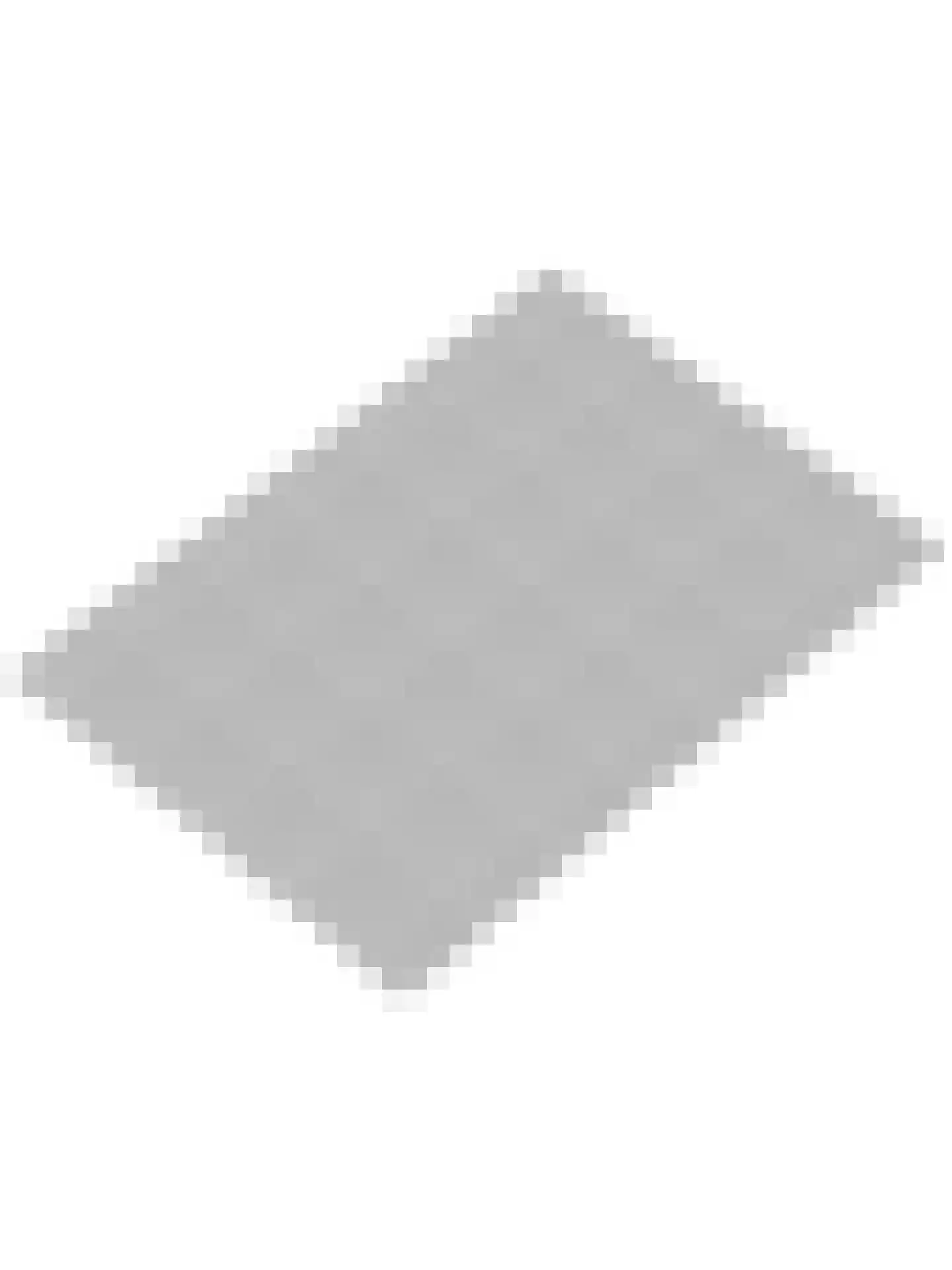 Hollandsestraat 44 Ridderkerk thumbnail 43