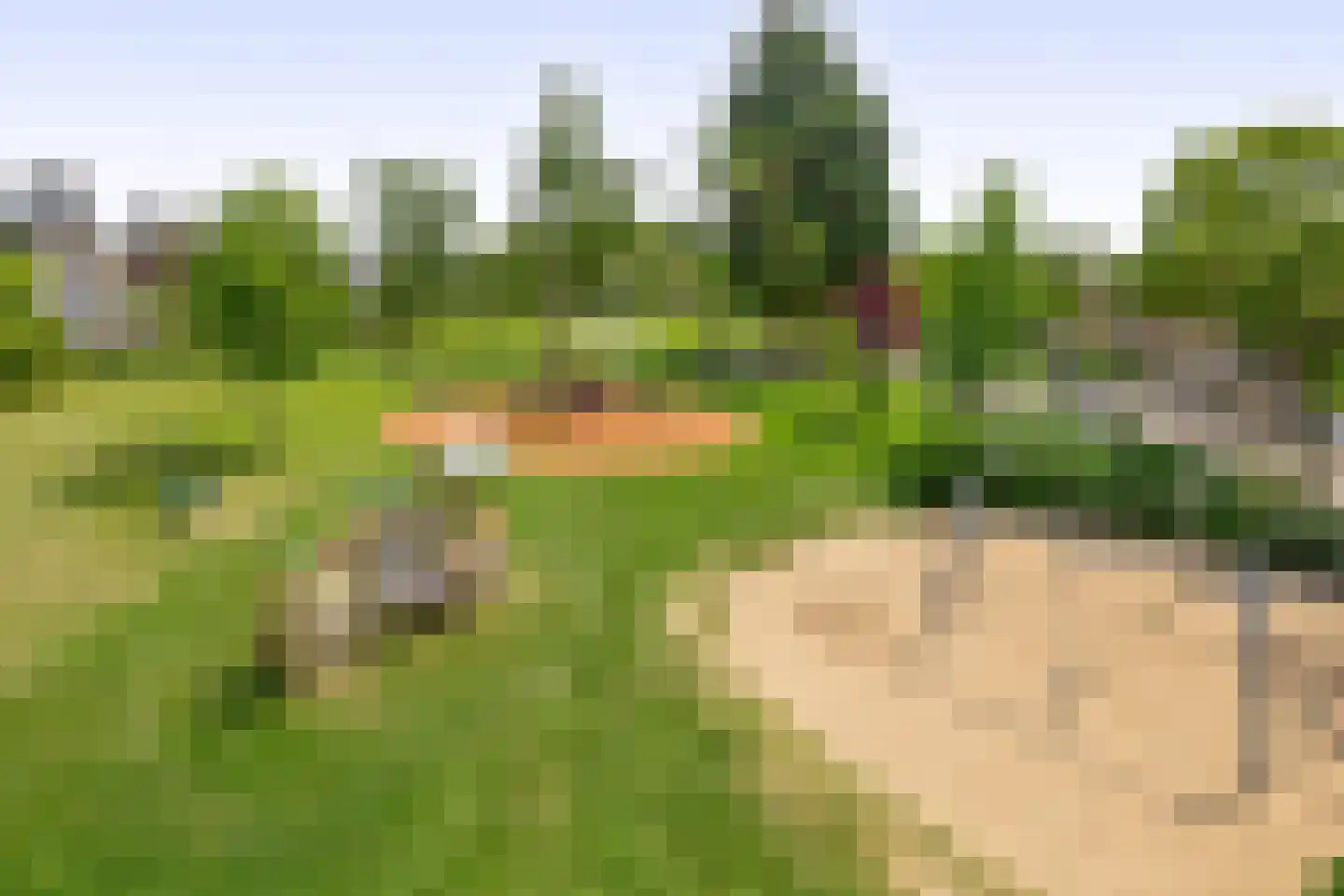 Hollandsestraat 70 Ridderkerk thumbnail 28