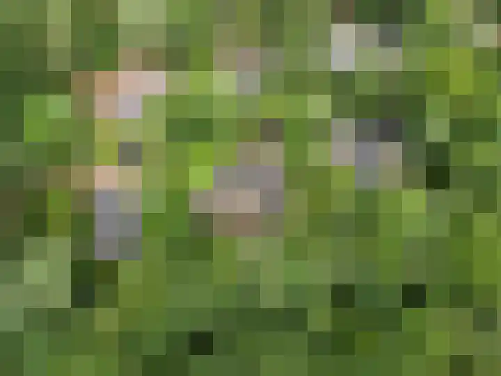Hollandseweg 141 Wageningen thumbnail 11