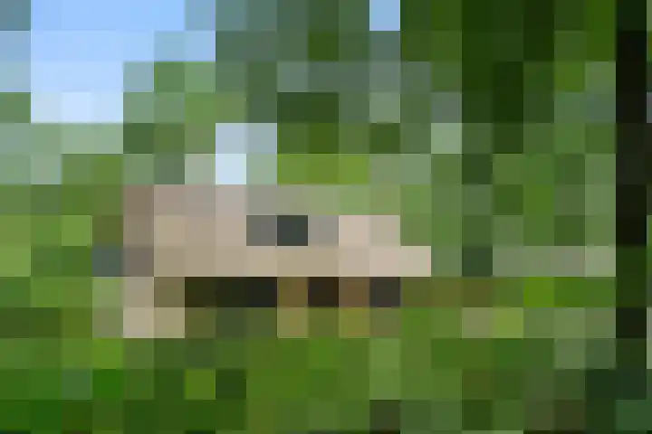 Hollandseweg 141 Wageningen thumbnail 13
