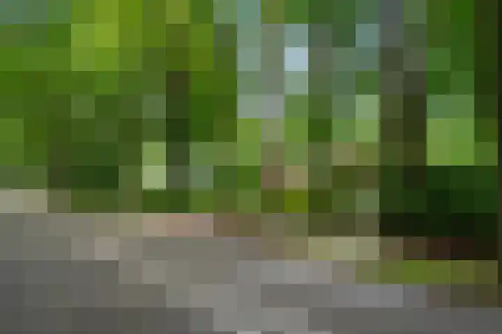 Hollandseweg 141 Wageningen thumbnail 15