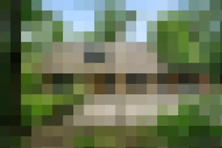 Hollandseweg 141 Wageningen thumbnail 17