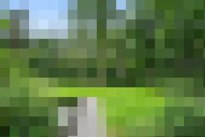 Hollandseweg 141 Wageningen thumbnail 26